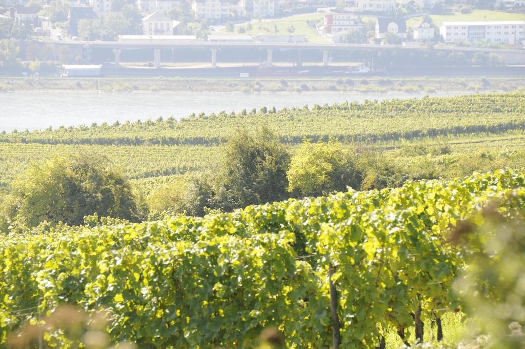 Landgasthof Germania Rüdesheim am Rhein Exteriör bild